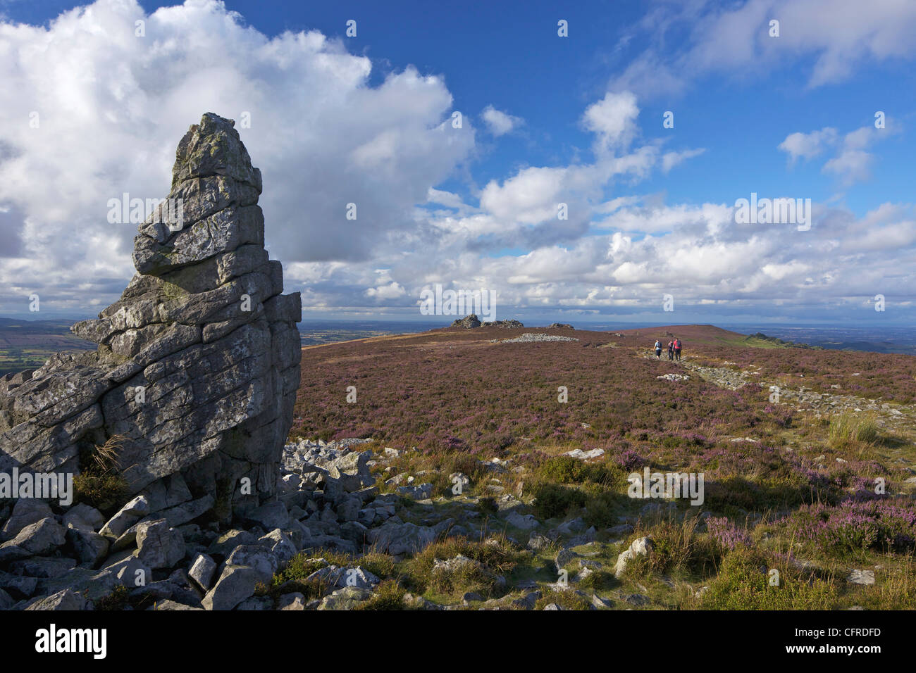 Soleil de l'été sur les Stiperstones, Shropshire, Angleterre, Royaume-Uni, Europe Banque D'Images