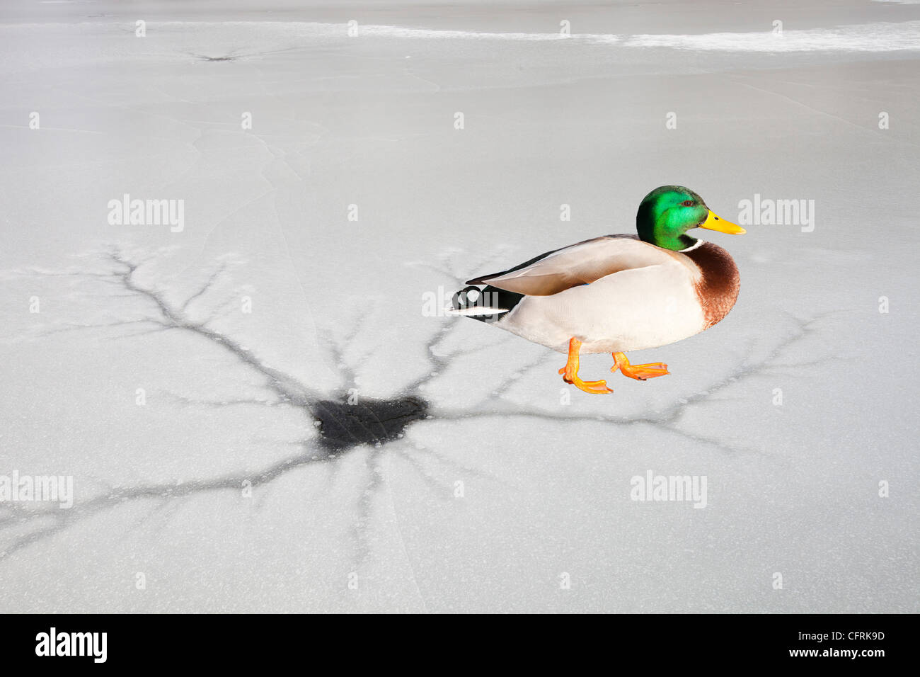 Un frozen Stickle Tarn avec les patrons des fissures dans la glace, au-dessus de la vallée de Langdale dans le Lake District, UK. Banque D'Images