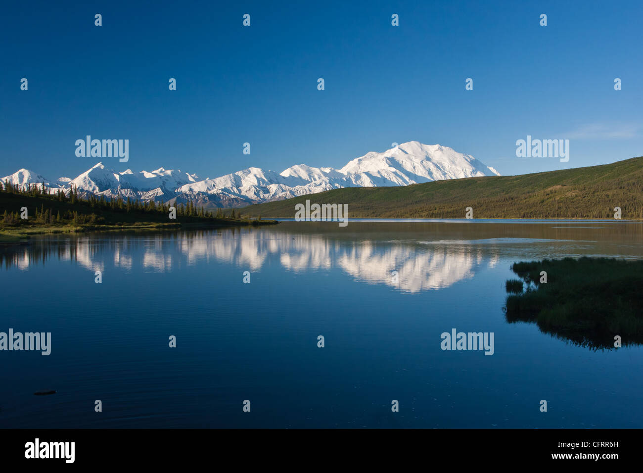 Denali (Mt. McKinley) se reflète dans l'eau du lac étonnant sur une journée dans le parc national Denali, AK, États-Unis d'Amérique. Banque D'Images