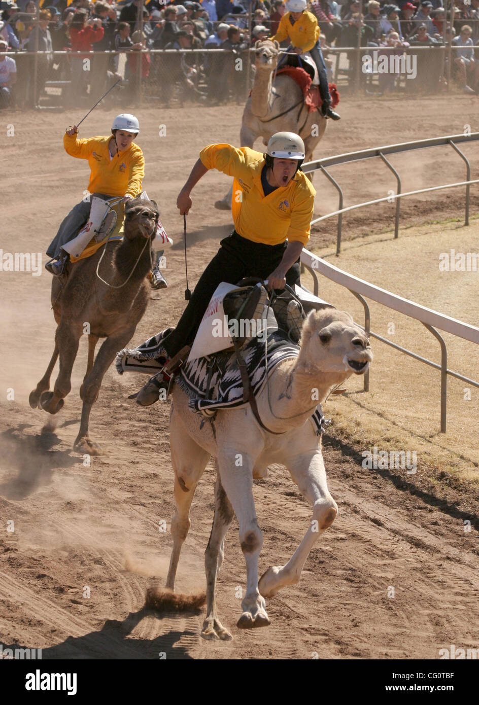 Jul 14 2007 - Alice Springs, Territoire du Nord, Australie - la première course de chameaux a été menée en 1970 dans le lit de la rivière Todd sec comme un pari entre deux amis, Noel Fullerton et Keith Mooney-Smith, et a été une attraction supplémentaire à l'Alice Springs année du centenaire de la fête. La course de chameaux ont été si populaires Banque D'Images