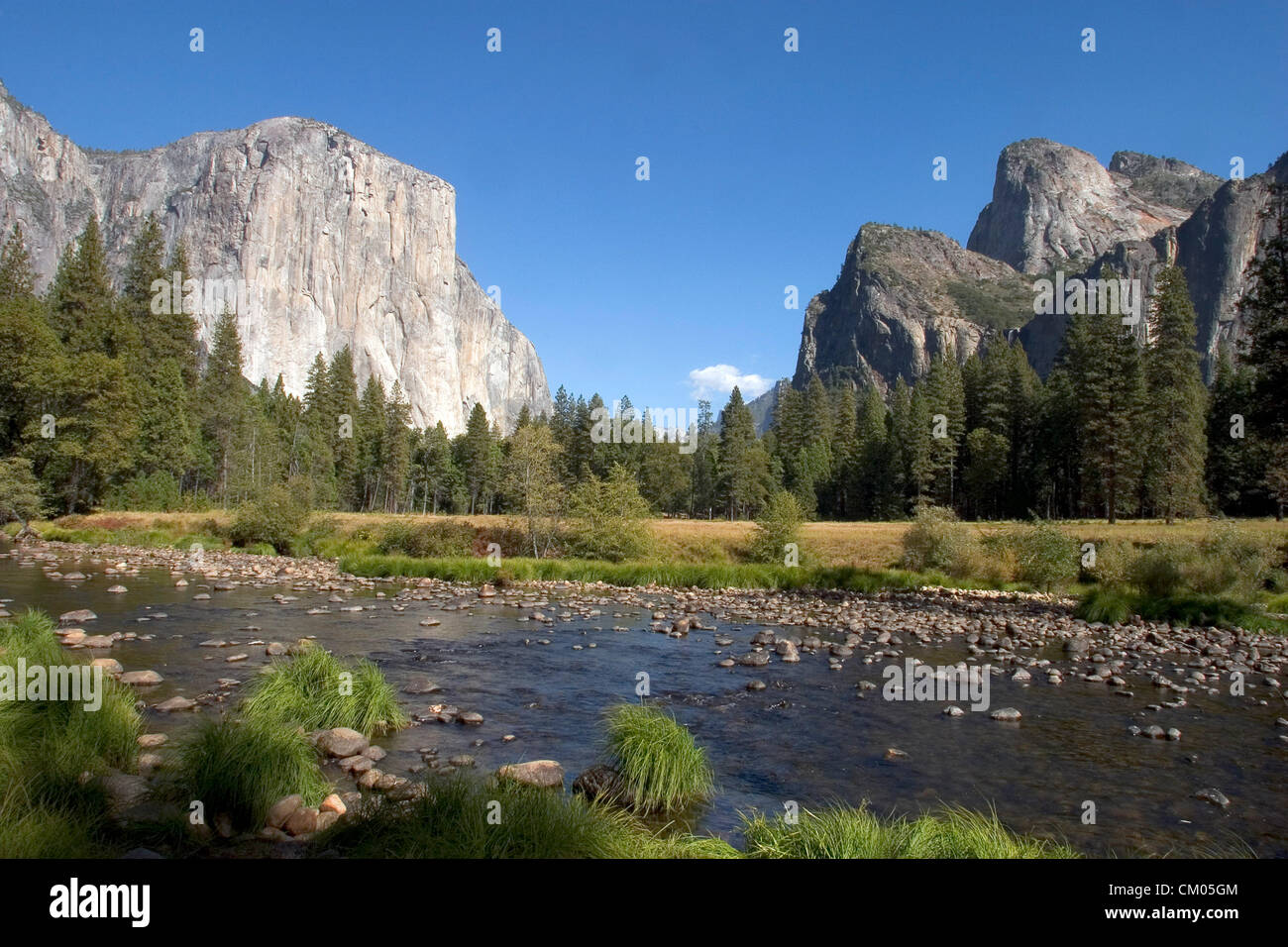 Nov 27, 2005 ; Yosemite, CA, USA ; El Capitan rock face. Yosemite National Park est près de 1 200 milles carrés de terres sauvages pittoresque mis de côté en 1890 par John Muir pour préserver la gamme du centre de la Sierra Nevada. Allant de 2 000 pieds au-dessus du niveau de la mer à plus de 13 000 pieds, le parc a désert alpin, 3 des bosquets de séquoias géants et de Yosemite Valley. Appelé "l'Incomparable, la vallée de Yosemite' est un canyon sculptées par les glaciers. Sautant de cascades, de dômes arrondis, monolithes, massive et d'imposantes falaises a inspiré peintres, poètes, photographes, et des millions de visiteurs. Prés de fleurs sauvages, oa Banque D'Images