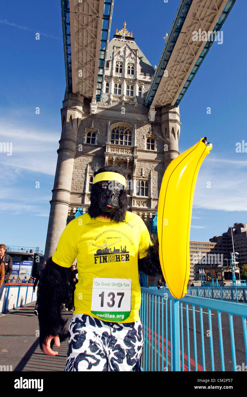 Londres, Royaume-Uni. 22 septembre 2012. Great Gorilla Run 2012 une organisation à exécuter en robe de soirée les gorilles pour sauver les gorilles de montagne Banque D'Images