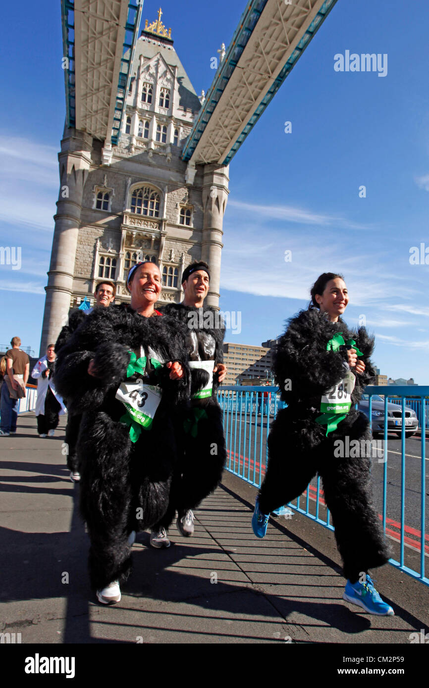 Londres, Royaume-Uni. 22 septembre 2012. Adam Garcia avec vos amis Diane et Adele au Great Gorilla Run 2012 une organisation à exécuter en robe de soirée les gorilles pour sauver les gorilles de montagne Banque D'Images