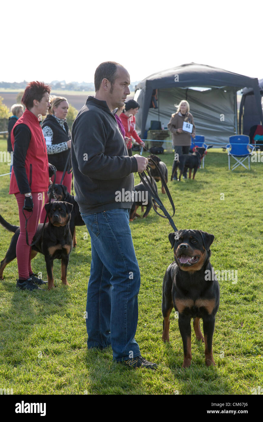 Brescot Rottweilers Brsdc Banque de photographies et d’images à haute résolution - Alamy