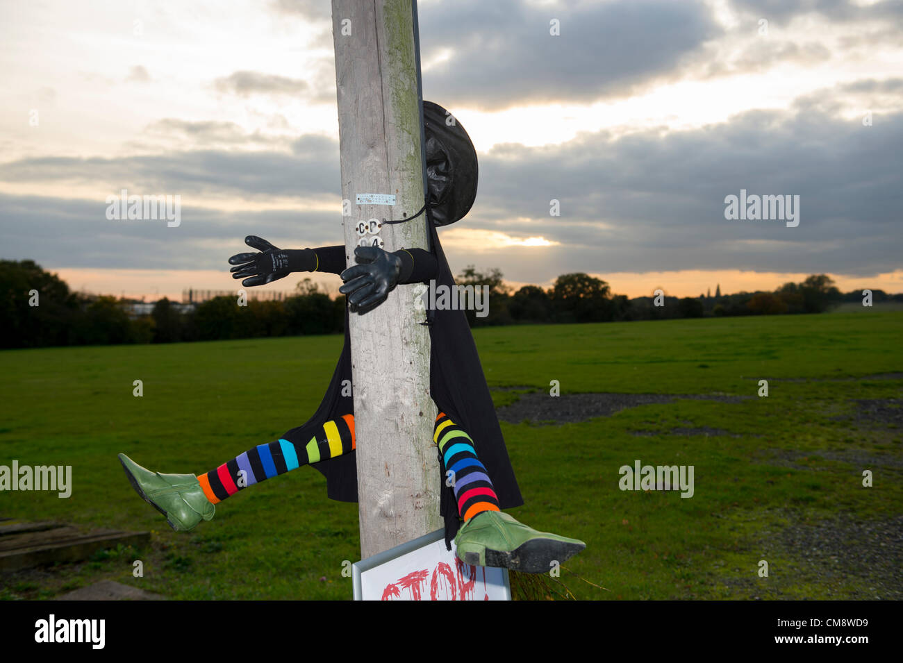 Billericay Essex, au Royaume-Uni. 30 octobre 2012. Un modèle d'une sorcière d'Halloween en collants à rayures qui semble avoir planté leur balai dans un poteau télégraphique à l'extérieur de Barleylands ferme, à Senlis. La sorcière est là pour annoncer une aventure fantasmagorique pour les enfants à l'Halloween. Crédit : La Farandole Stock Photo / Alamy Live News Banque D'Images