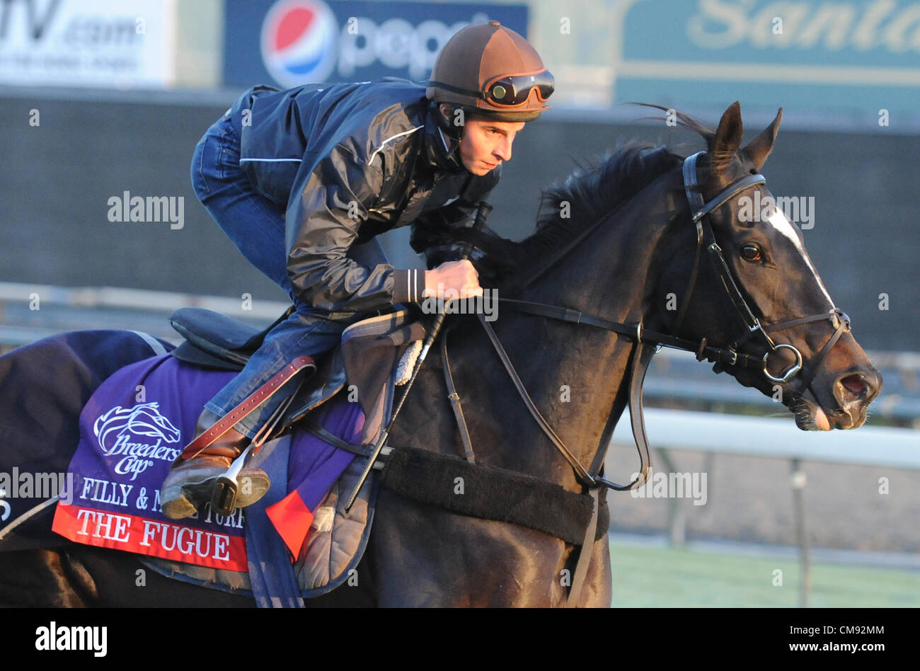 Le 31 octobre 2012 - Arcadia, Californie, États-Unis - La Fugue, formé par John Gosden, exercices en préparation de la Breeders Cup à Santa Anita Park le 31 octobre 2012. (Crédit Image : © Scott Serio/Eclipse/ZUMAPRESS.com) Banque D'Images