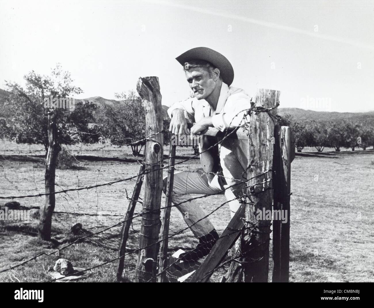 CHUCK CONNORS.AKA Kevin Joseph Aloysius Connors.Fourni par Photos inc..Cowboy en Afrique.toujours.(Image Crédit : Â© fourni par Globe Photos Inc/Globe Photos/ZUMAPRESS.com) Banque D'Images