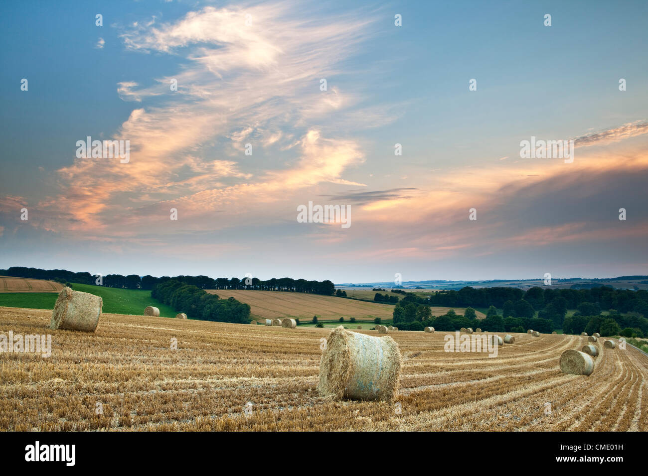 Wiltshire UK, le 26 juillet 2012, les agriculteurs dans le sud de l'Angleterre, profitez de cette semaine de beau temps pour commencer la récolte. En raison du mauvais temps jusqu'à présent cet été le début de la récolte a été retardée de plusieurs semaines. Bottes de paille près de vaste Chalke, Wiltshire. Banque D'Images