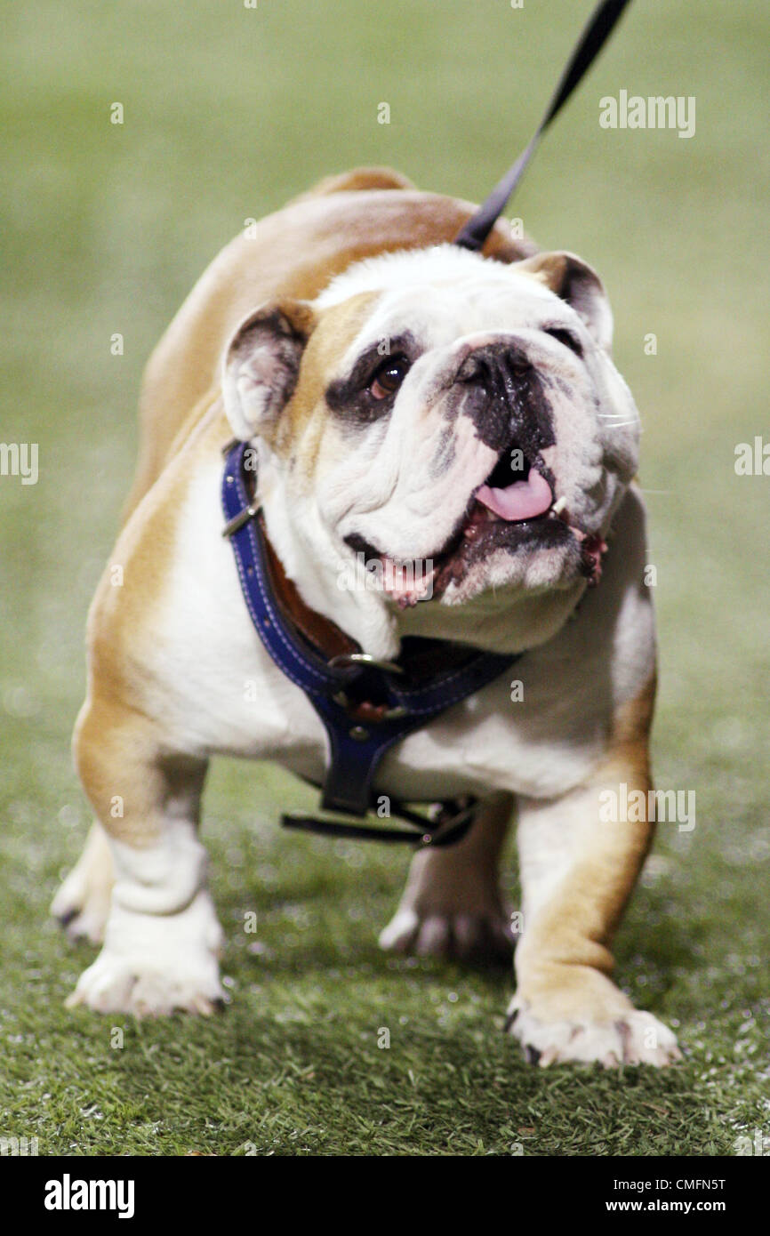 Sept 18, 2010 : Tech XX, la Louisiana Tech Mascot patrouille l'écart pendant le concours entre les Bulldogs de Louisiana Tech et les aspirants de marine à Joe Aillet Stadium à Ruston, Louisiana. Navy a obtenu 37 - 23. (Crédit Image : © Donald Page/SCG/ZUMAPRESS.com) Banque D'Images