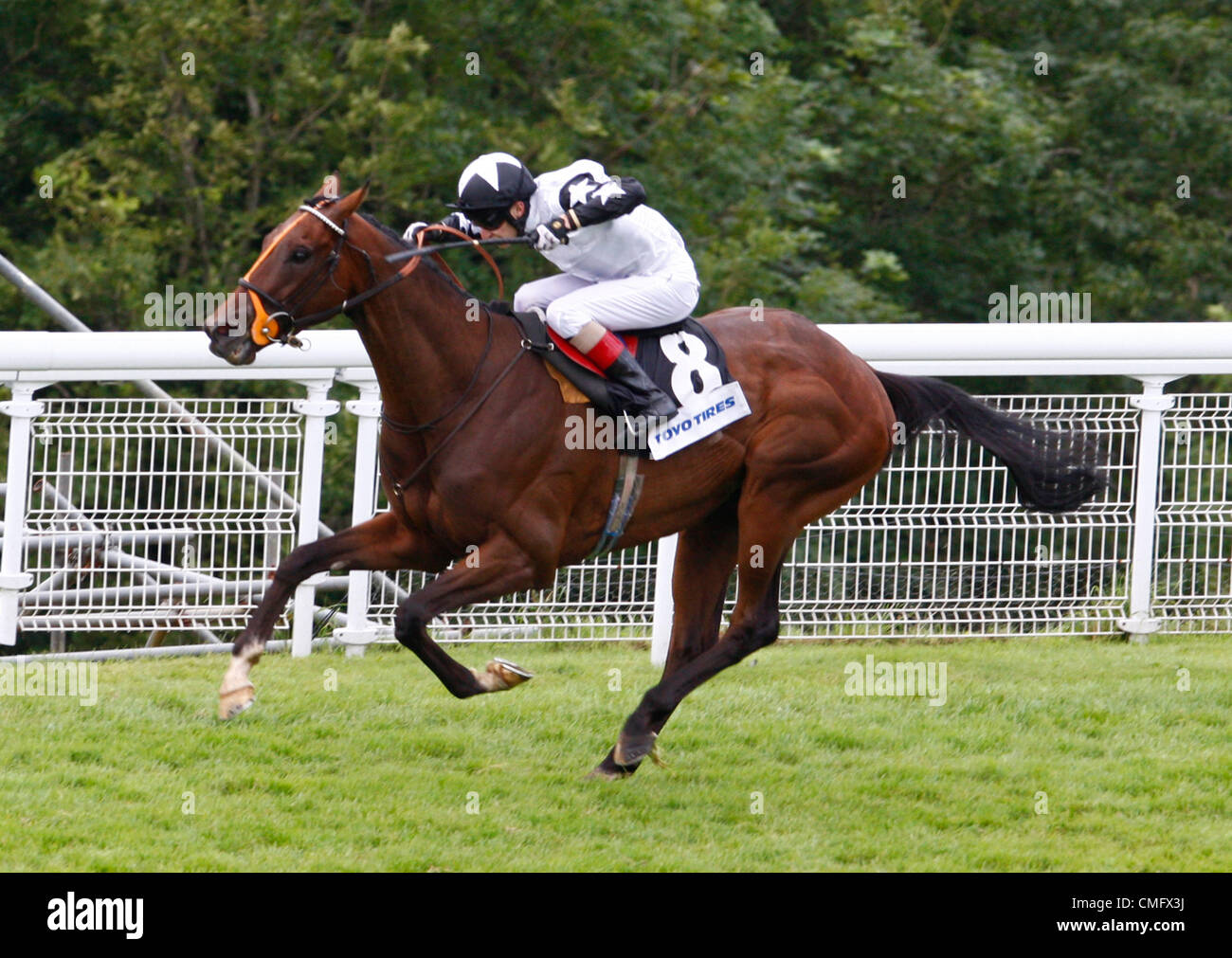 04.08.12 Chichester, Angleterre Luke Morris sur Motivado en action pendant la performance des pneus Toyo Stakes ( Handicap) au Festival de Goodwood glorieuse sur cinq jours Banque D'Images 04.08.12 Chichester, Angleterre Luke Morris sur Motivado en action pendant la performance des pneus Toyo Stakes ( Handicap) au Festival de Goodwood glorieuse sur cinq jours Banque D'Images