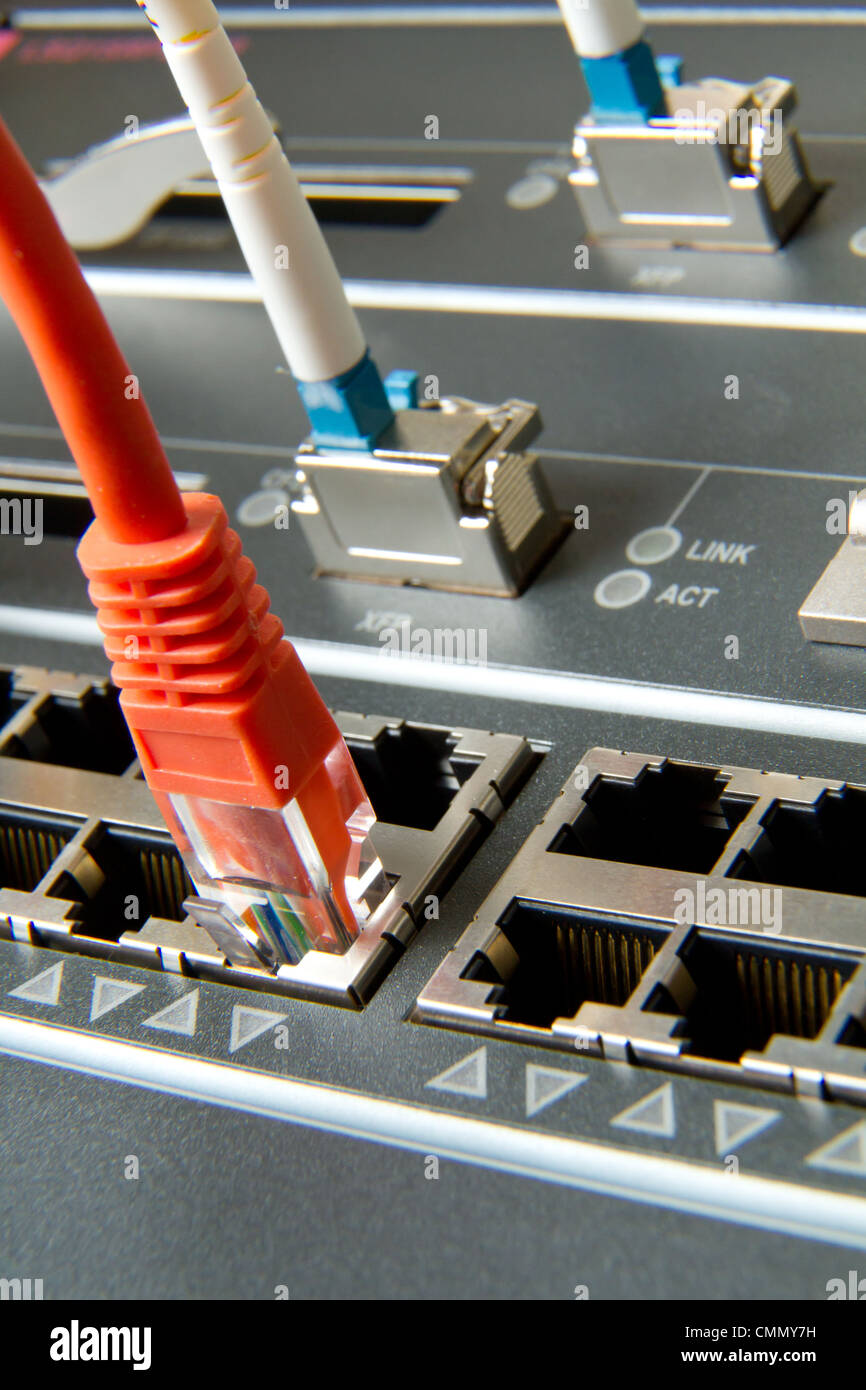 Fibre optique câbles connectés au centre de données Banque D'Images