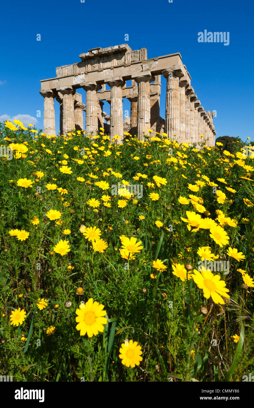 Sélinonte Temple Grec au printemps, Selinunte, Sicile, Italie, Europe Banque D'Images