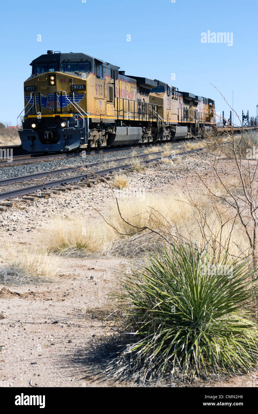 Union Pacific train dans l'ouest du Texas. Banque D'Images