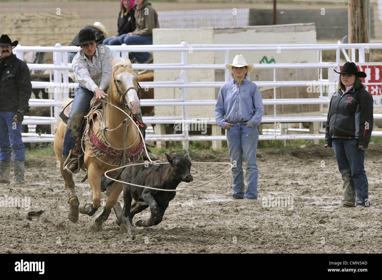 USA, Saumon, New York, d'insertion au lasso, High School Rodeo Banque D'Images