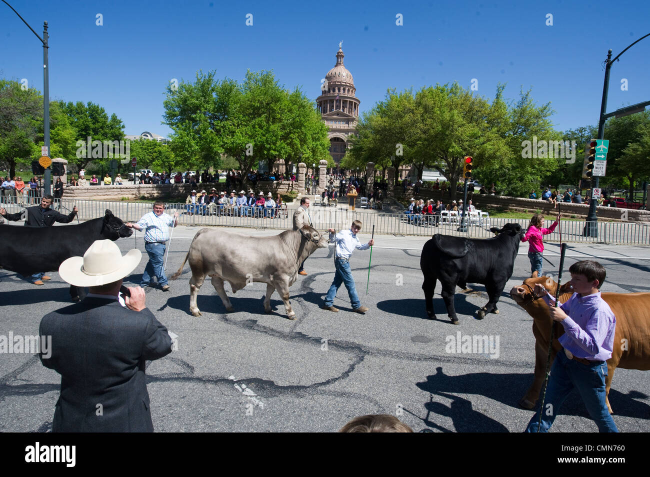 Défilé des jeunes leur champion steer au Texas Capitol en Grand Champion final jugement à l'étoile du Texas Rodeo, Austin TX Banque D'Images