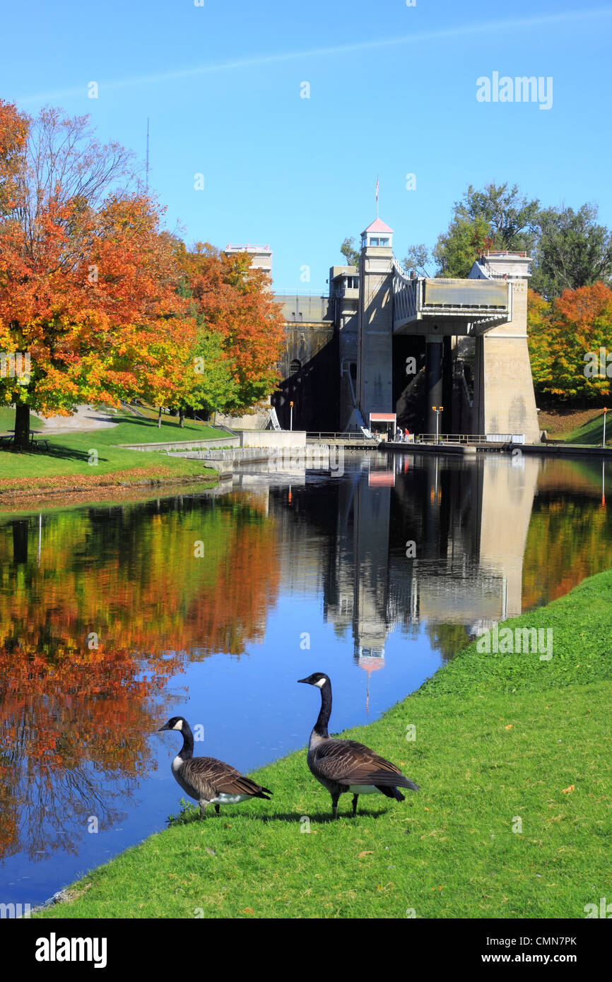 L'écluse-ascenseur de Peterborough Lieu historique national avec les Bernaches du Canada Banque D'Images