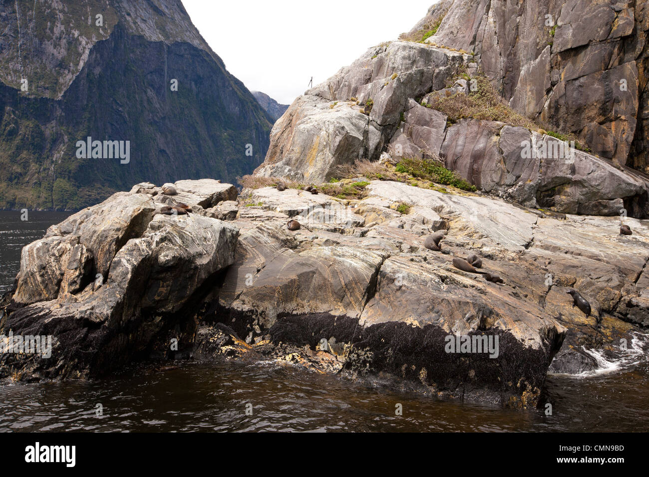 Milford Sounds Nouvelle-zélande paysage Banque D'Images