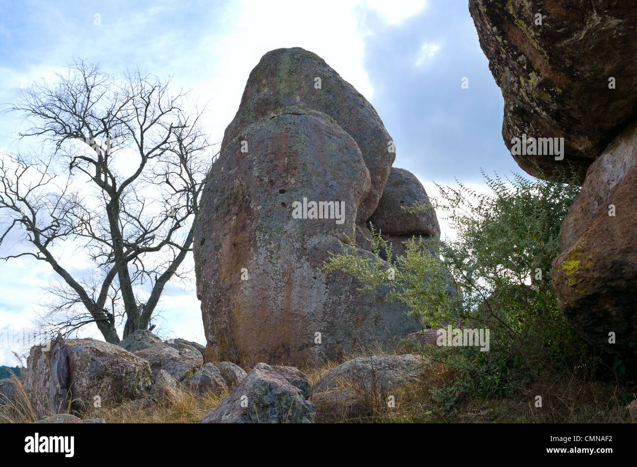 De gros rochers et d'arbres dans la vallée des énigmes près de Tapalpa dans Jalisco Mexique Banque D'Images