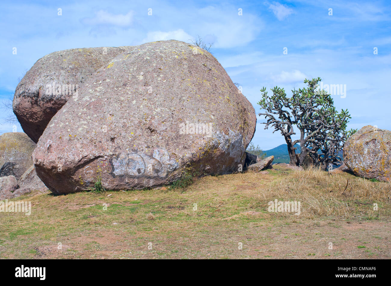 De gros rochers et arbres cactus dans la vallée des énigmes près de Tapalpa dans Jalisco Mexique Banque D'Images