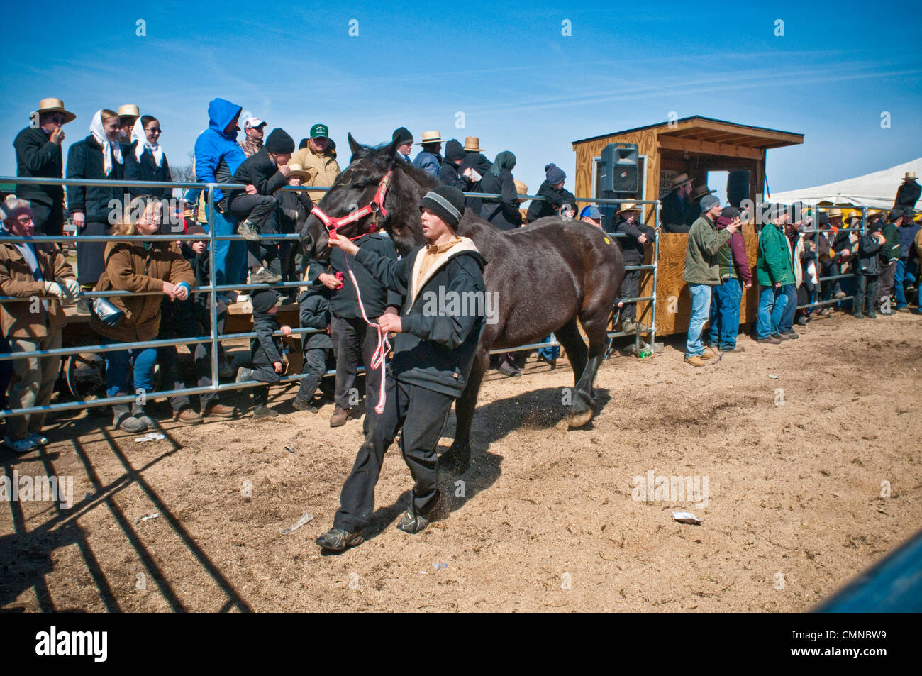 Le Comté de Lancaster PA Pennsylvania USA fermier Amish, boue printemps vente aux enchères Banque D'Images