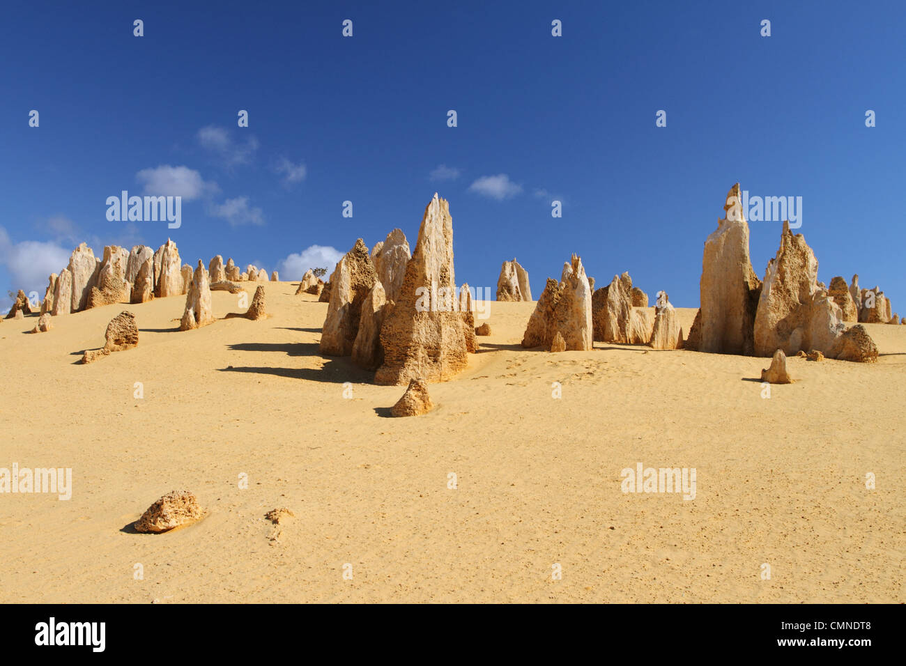 Désert des Pinnacles, Australie occidentale Banque D'Images