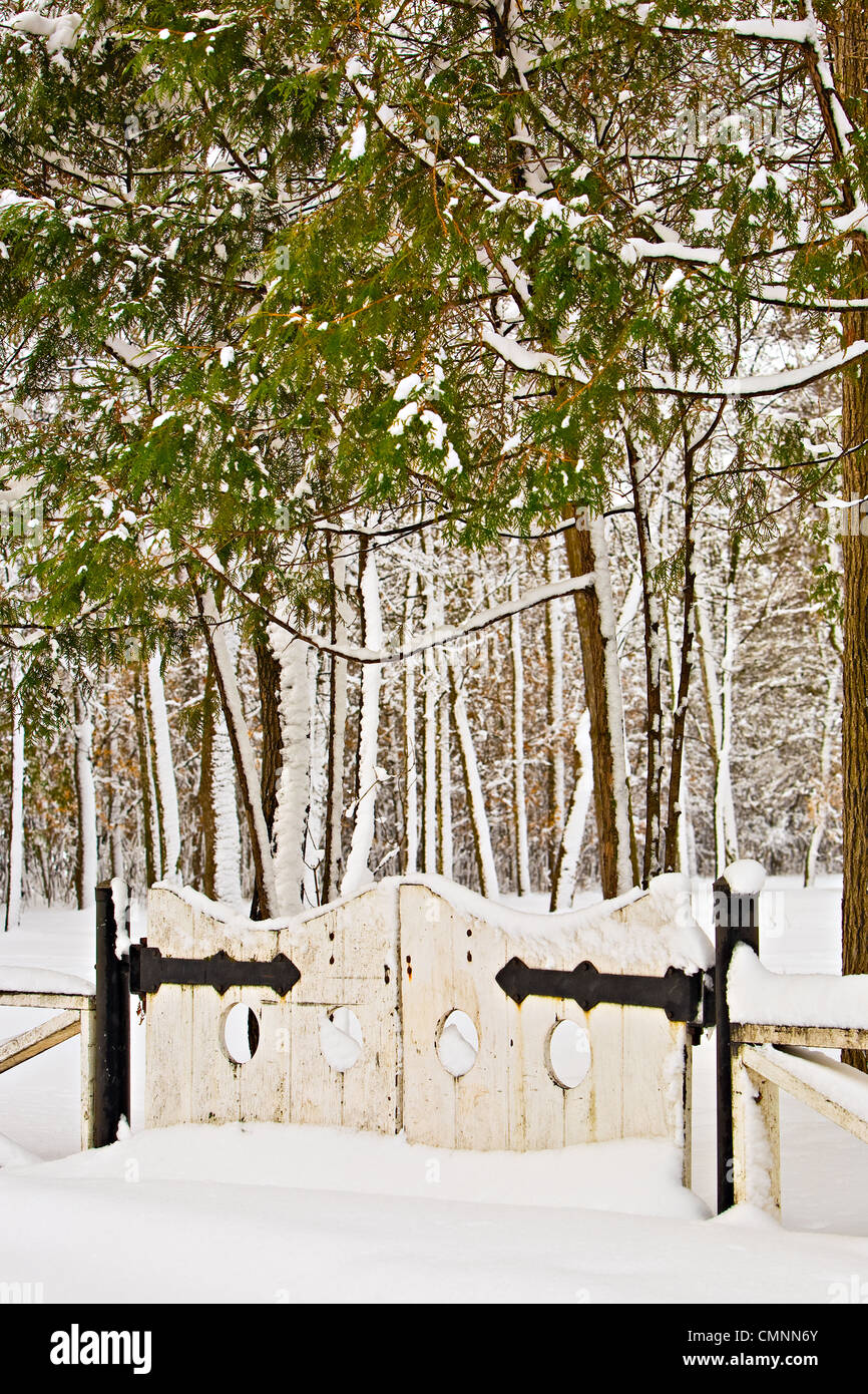 À la porte les jardins anglais en hiver, parc Assiniboine, Winnipeg, Manitoba Banque D'Images
