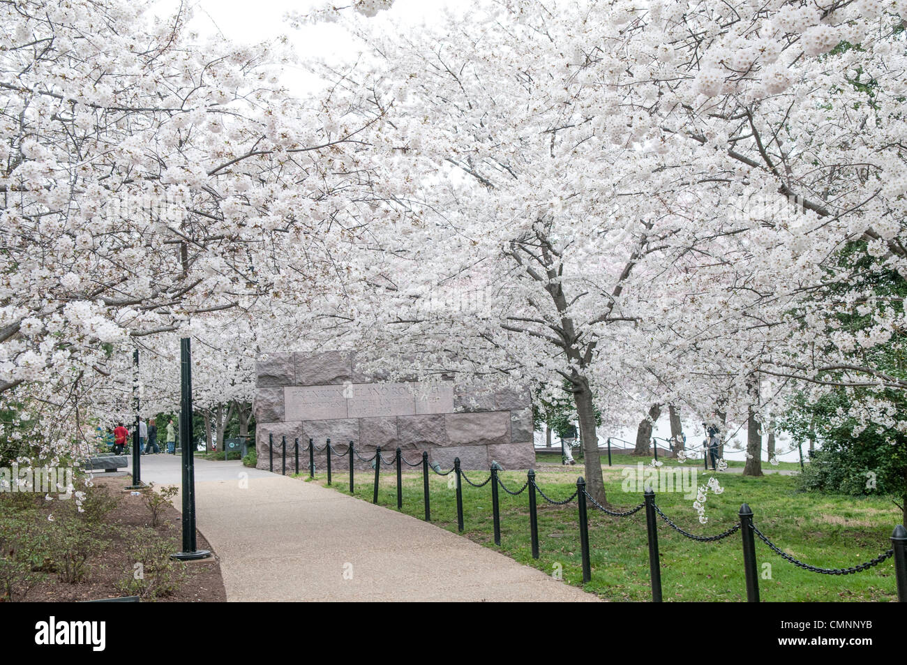 WASHINGTON DC — les cerisiers en fleurs de Yoshino bordent une passerelle du Franklin Delano Roosevelt Memorial. Situé le long du Tidal Basin, le mémorial est conçu avec quatre salles extérieures pour commémorer les quatre mandats du président Franklin D. Roosevelt. Banque D'Images WASHINGTON DC — les cerisiers en fleurs de Yoshino bordent une passerelle du Franklin Delano Roosevelt Memorial. Situé le long du Tidal Basin, le mémorial est conçu avec quatre salles extérieures pour commémorer les quatre mandats du président Franklin D. Roosevelt. Banque D'Images
