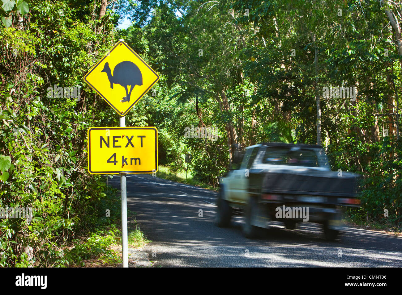 Cassowary panneau de passage à niveau. Parc national de Daintree, Queensland, Australie Banque D'Images