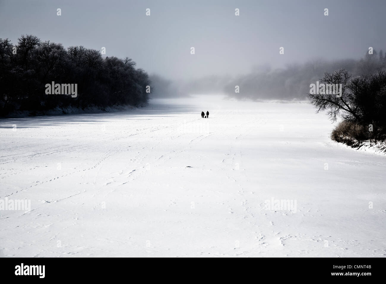 Une famille avec un chien marche sur la rivière Assiniboine, Winnipeg, Manitoba Banque D'Images