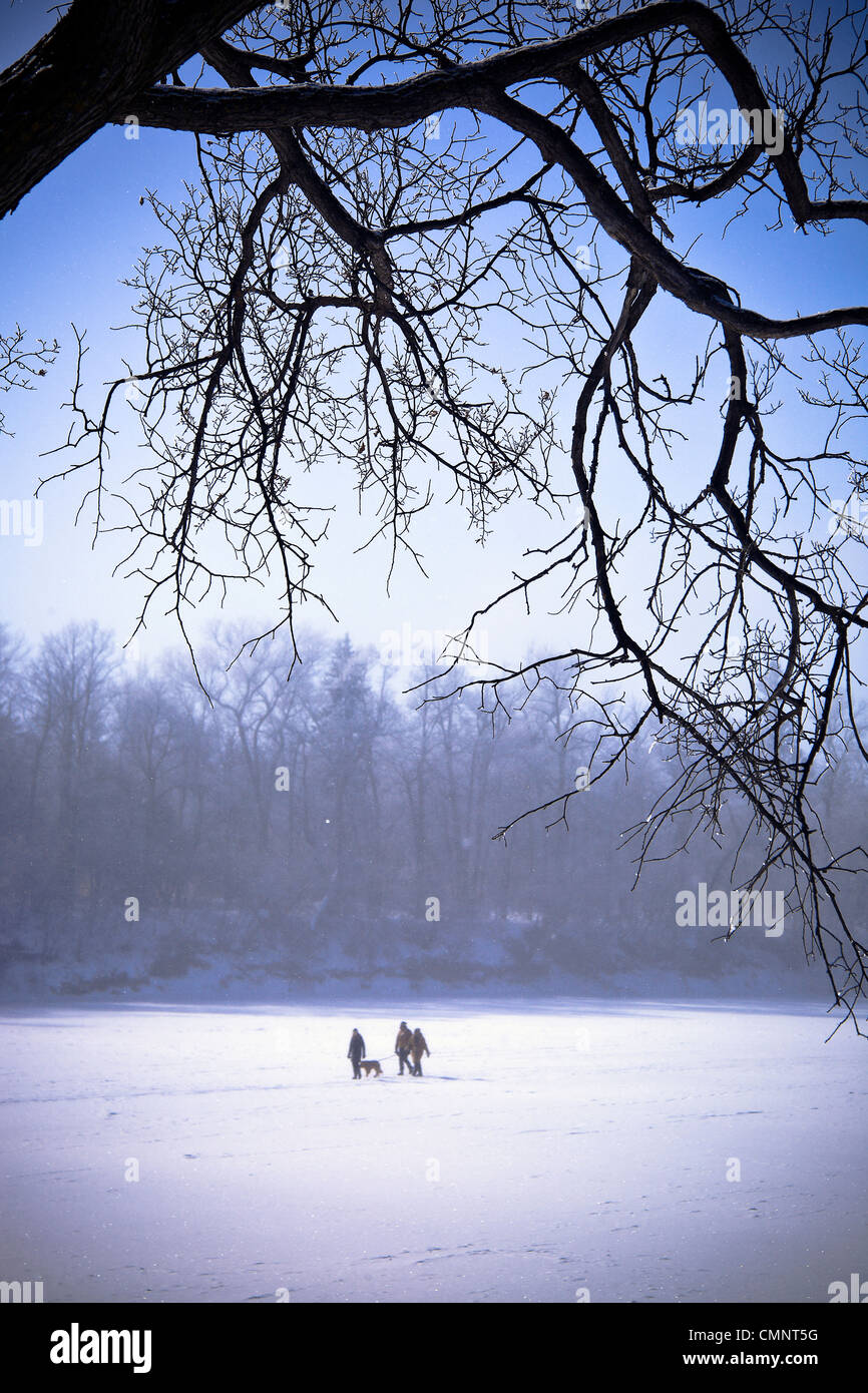 Famille avec chien marcher sur la rivière Assiniboine, parc Assiniboine, Winnipeg, Manitoba Banque D'Images