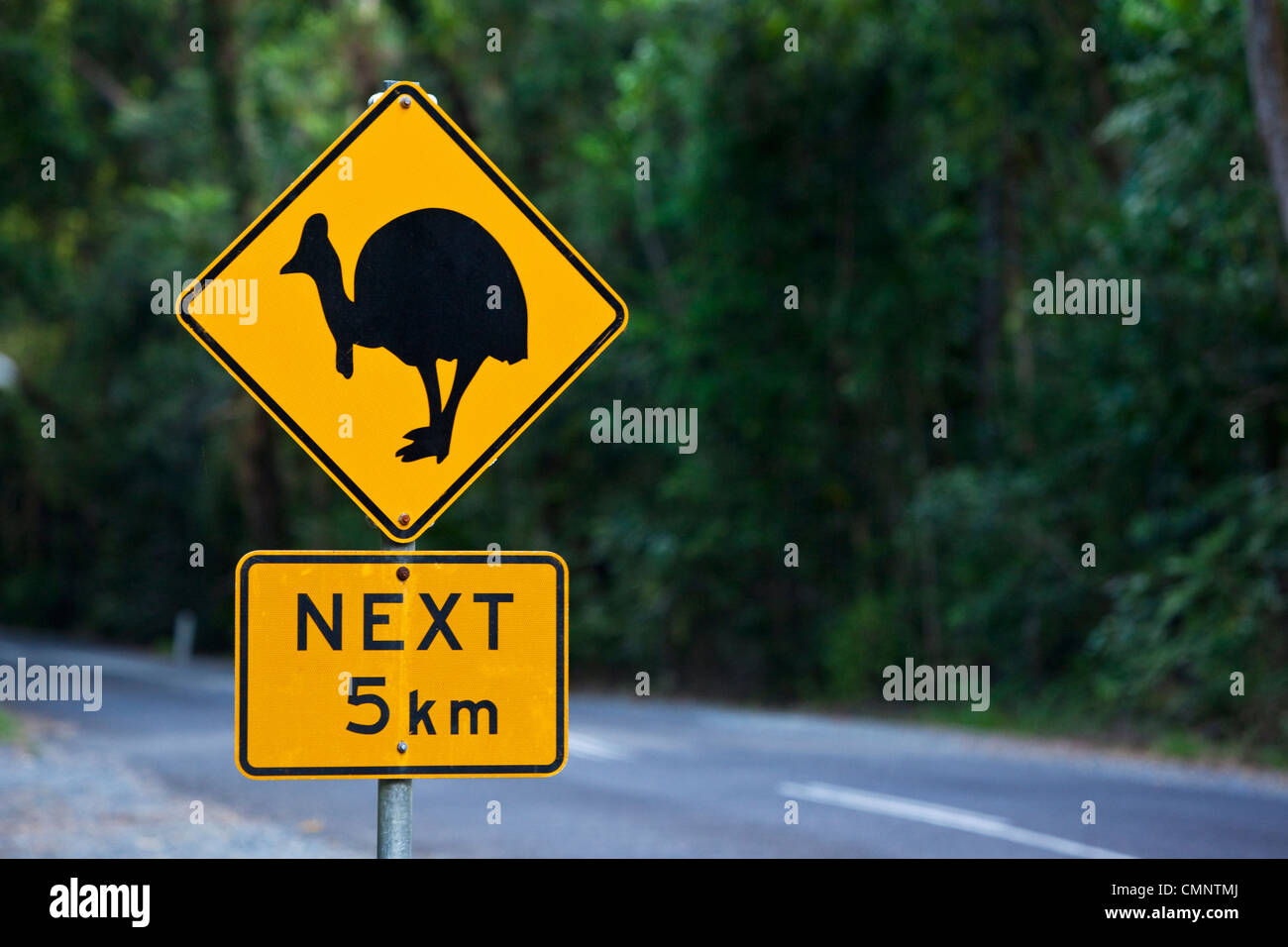 Cassowary panneau de passage à niveau. Parc national de Daintree, Daintree, Queensland, Australie Banque D'Images