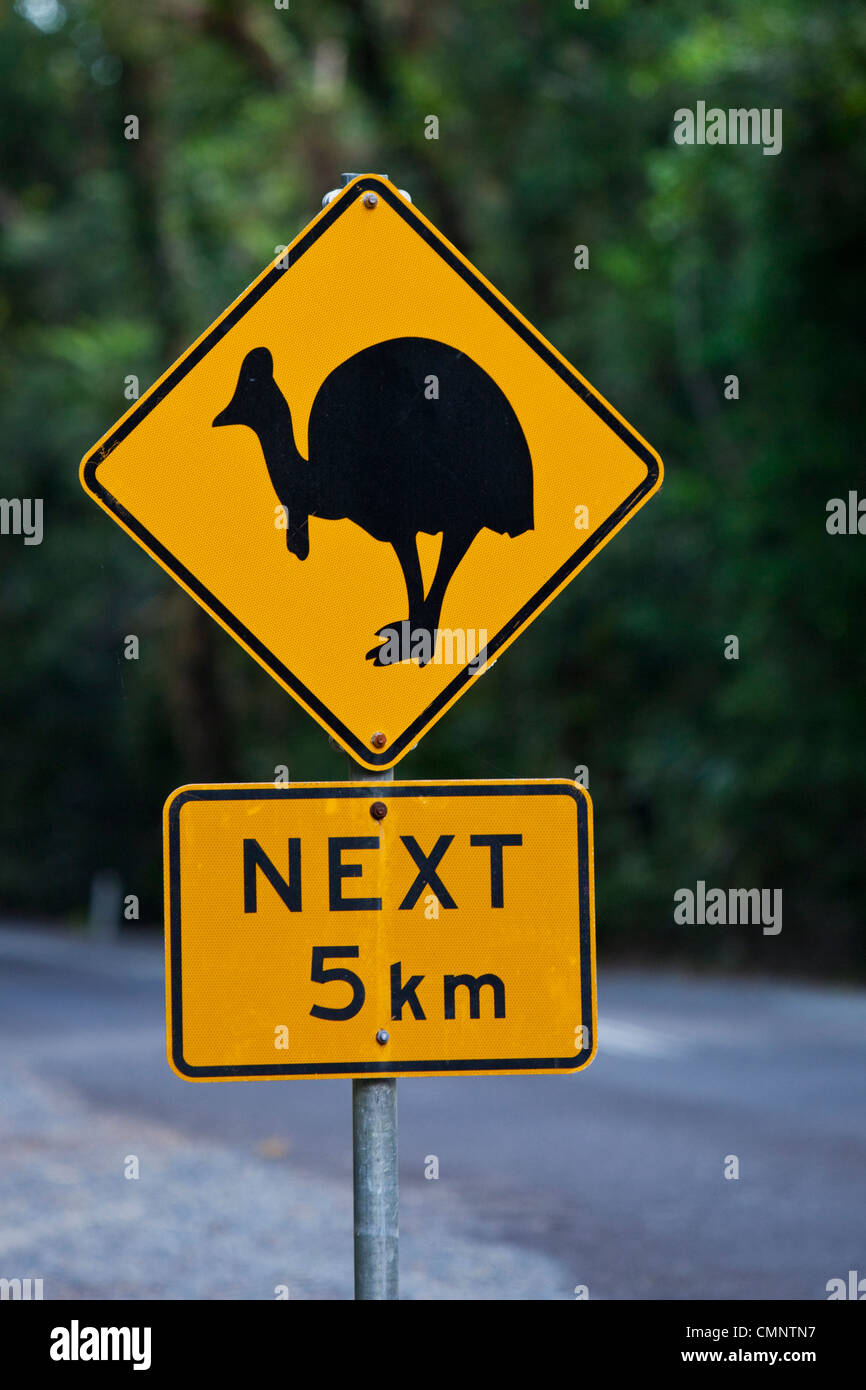 Cassowary panneau de passage à niveau. Parc national de Daintree, Daintree, Queensland, Australie Banque D'Images