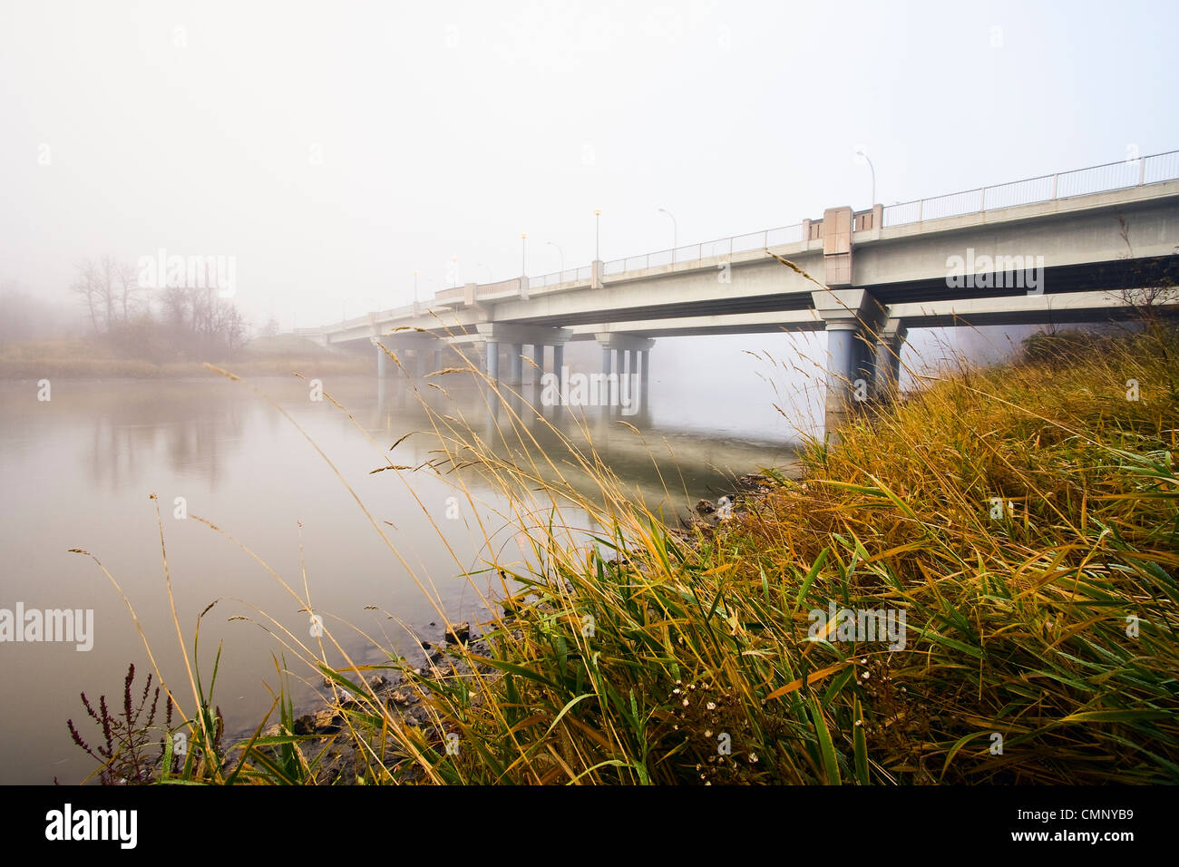 La rivière Assiniboine et Pont Charleswood on Foggy matin d'automne, Winnipeg, Manitoba Banque D'Images