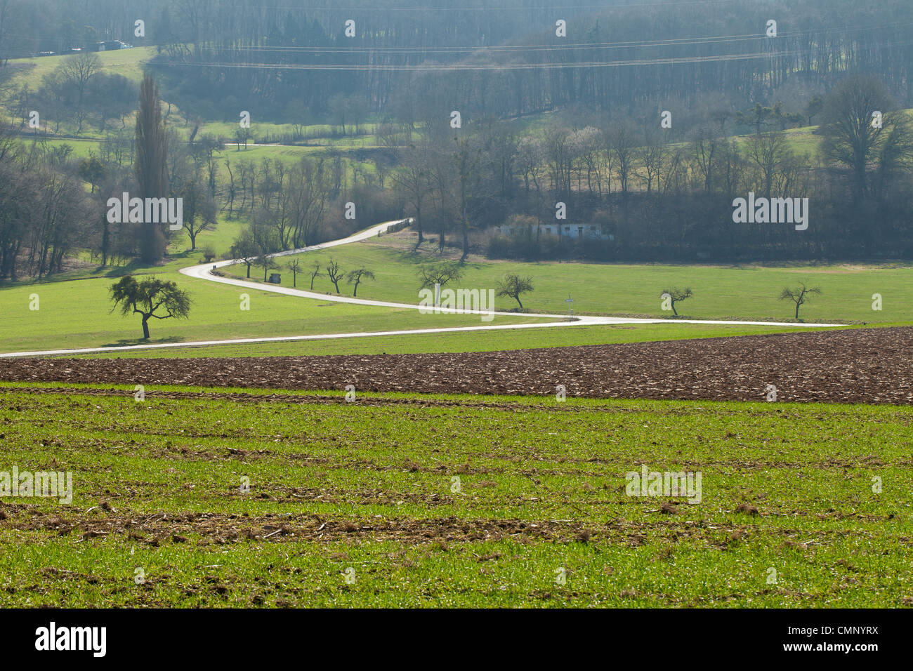 Beau paysage dans la campagne au Luxembourg Banque D'Images
