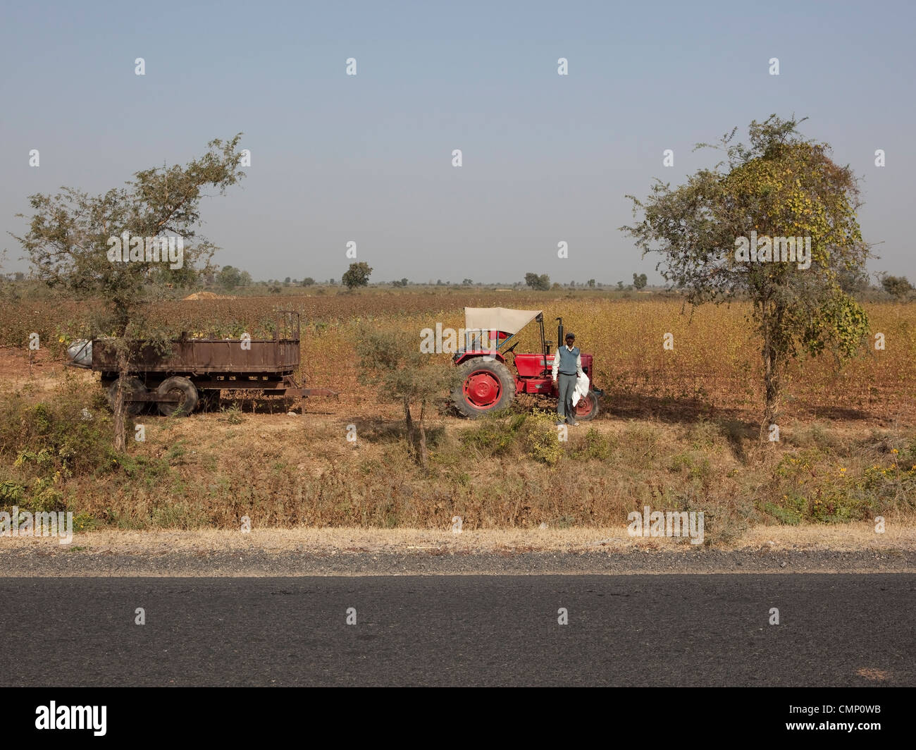 Un agriculteur se distingue par son tracteur qui est stationné dans un champ de coton par la route dans l'état indien de Gujarat Banque D'Images