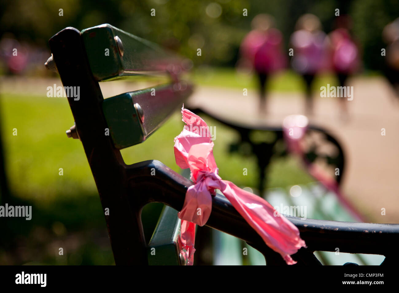 Pink Ribbon bow on park bench à coopers champ, Cardiff, après course pour la vie la charité s'exécuter. Banque D'Images Pink Ribbon bow on park bench à coopers champ, Cardiff, après course pour la vie la charité s'exécuter. Banque D'Images
