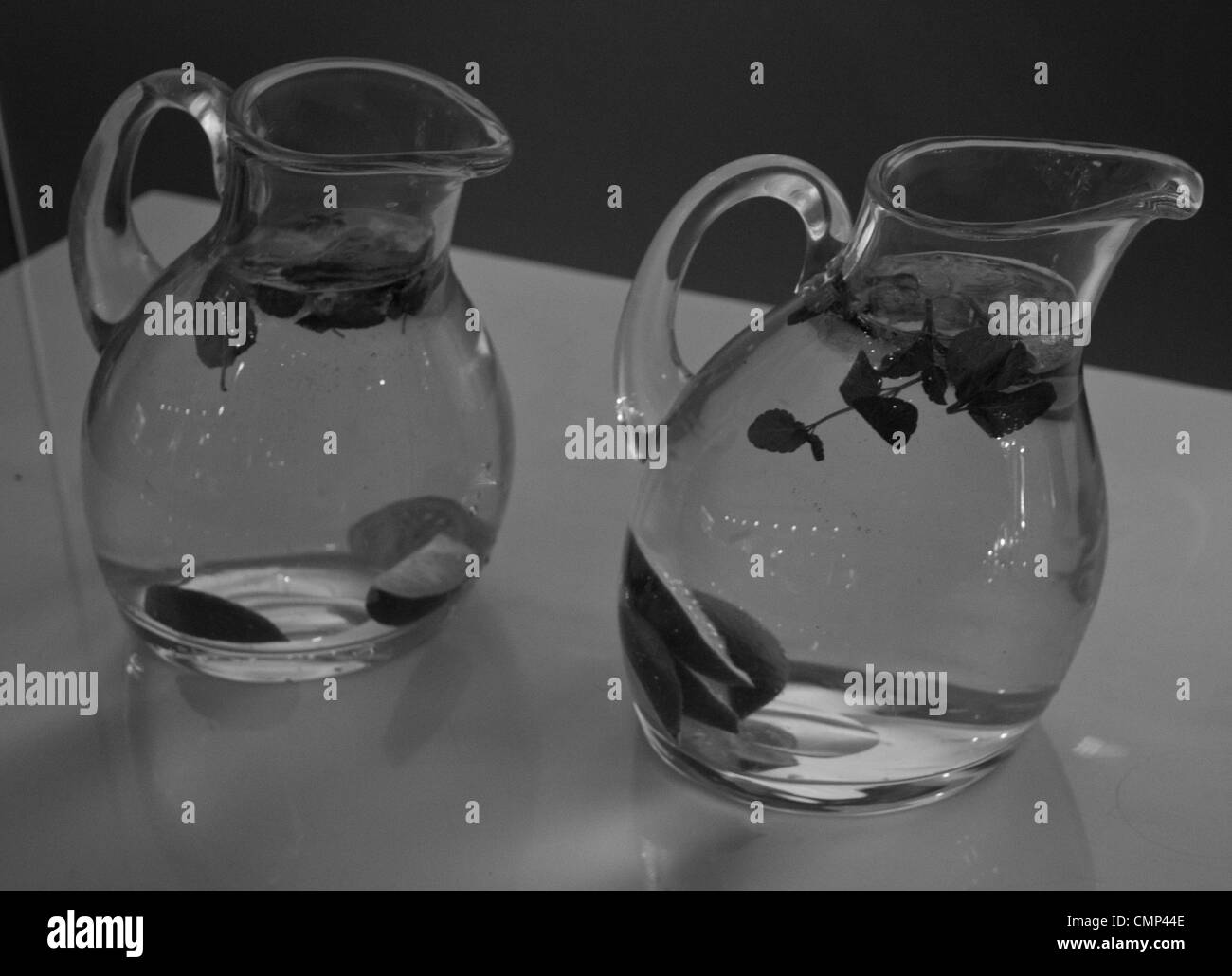 Deux verseuses en verre d'eau avec des tranches de lime et de feuilles de menthe. Banque D'Images