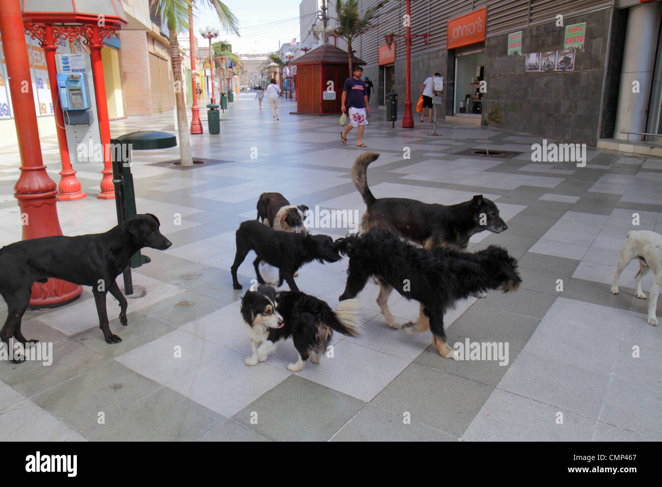 Arica Chile,Paseo Peatonal 21 de Mayo,galerie marchande piétonne,hispanique hispanique Latin Latins Latino Latinos,hispanique parlant espagnol,homme hommes adultes masculins Banque D'Images