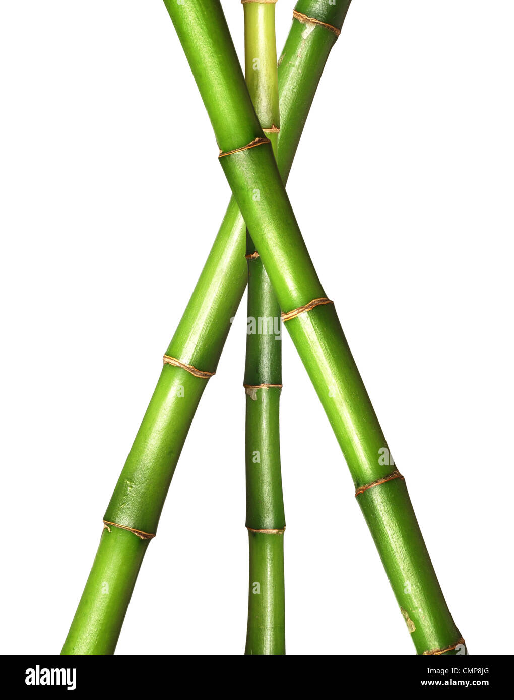 Motif de la tige de bambou de la chance Banque D'Images