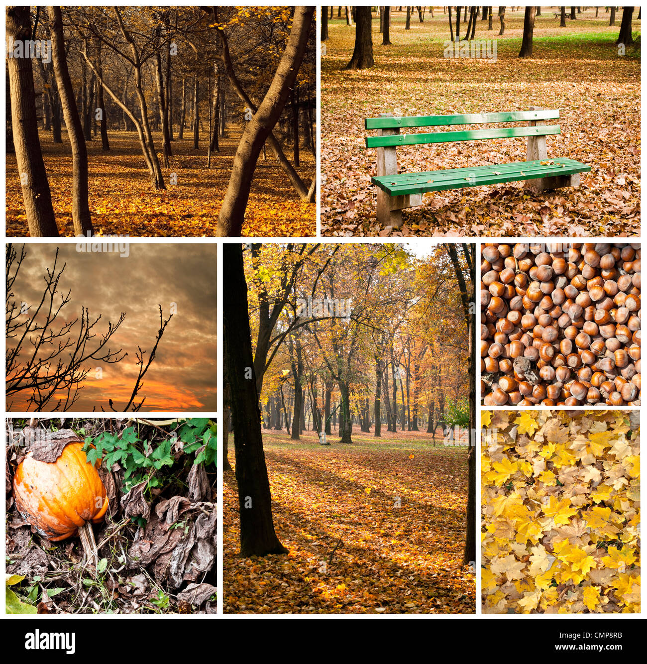 Collage d'automne - Collection de photos d'automne Banque D'Images