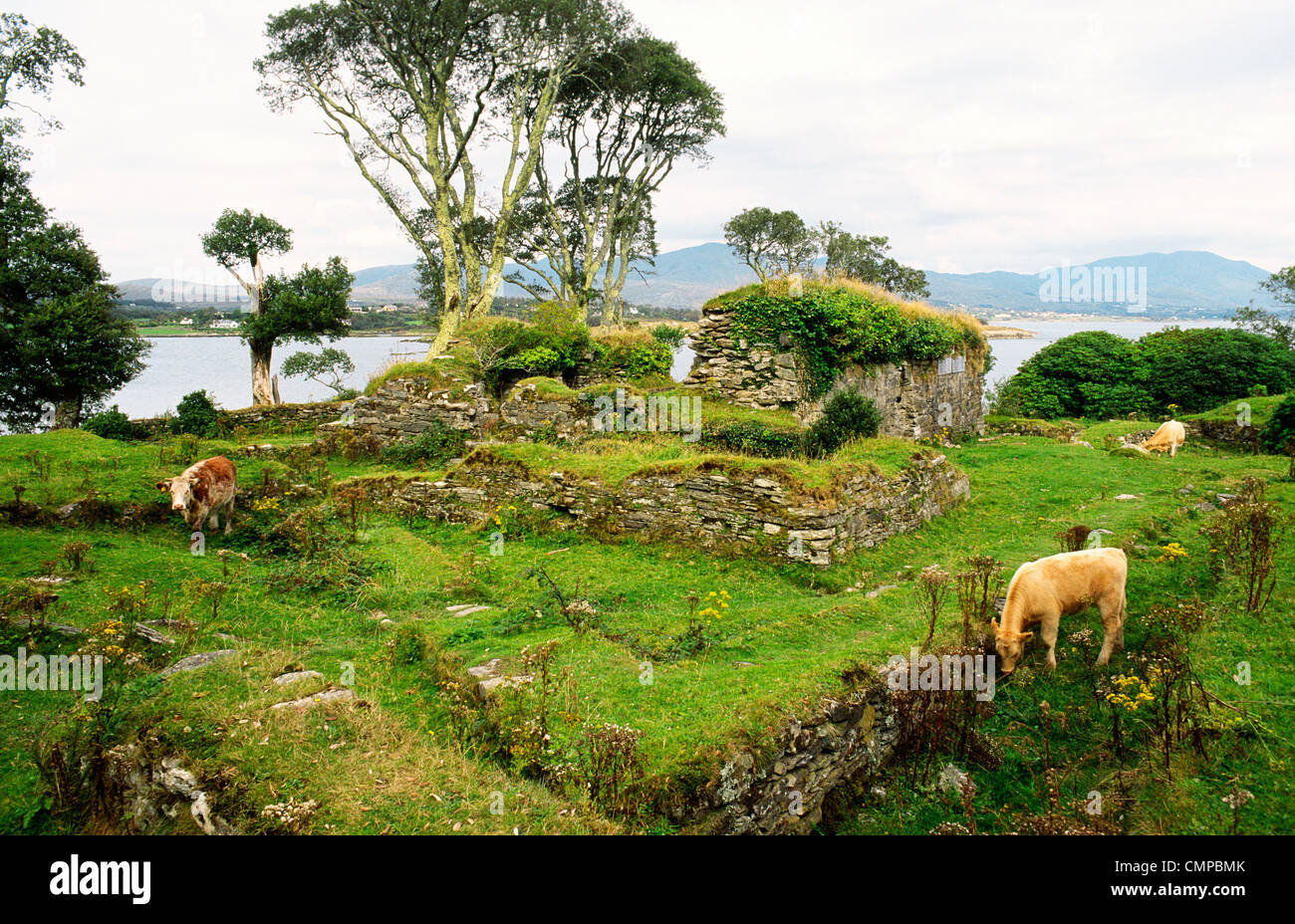 Ruines du château de Dunboy sur le sud de la Péninsule de Beara, comté de Cork, Irlande. Fief de chef de clan gaélique O'Sullivan Bere Banque D'Images