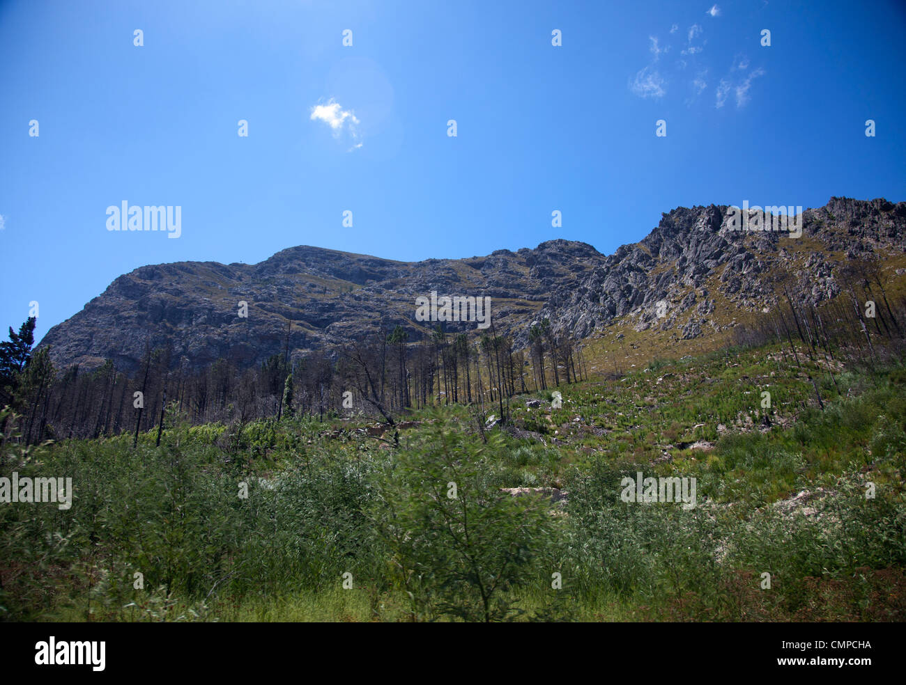 Montagne et la nature autour de Franschhoek à Western Cape - Afrique du Sud Banque D'Images