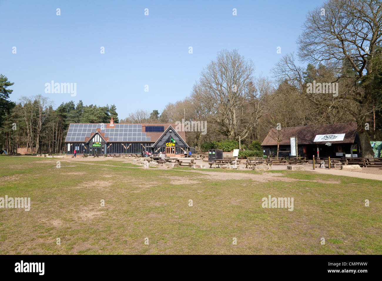 La Forêt de Thetford et parc Lodge haut immeuble appartenant à la Commission forestière, la forêt de Thetford, Norfolk, Angleterre, Royaume-Uni Banque D'Images