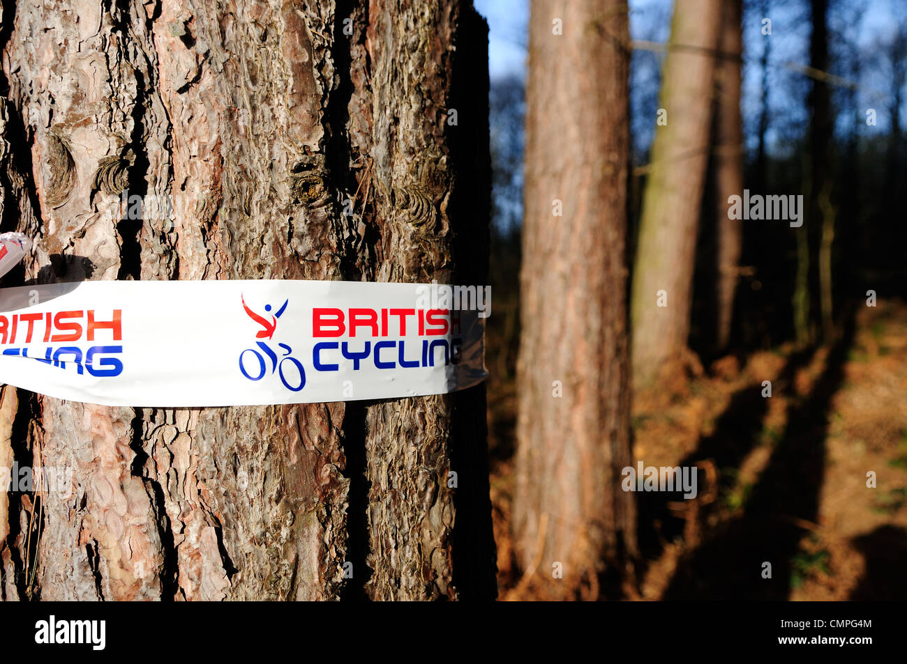 British Cycling.arbre rond bande chariot Sherwood Pines.Lincolnshire en Angleterre. Banque D'Images