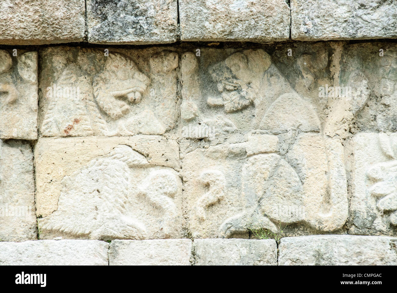 CHICHEN ITZA, Mexique - Gravures de jaguars sur les murs de la colonnade de l'ouest de la Zone archéologique de Chichen Itza, Chichen Itza, au Mexique. Banque D'Images