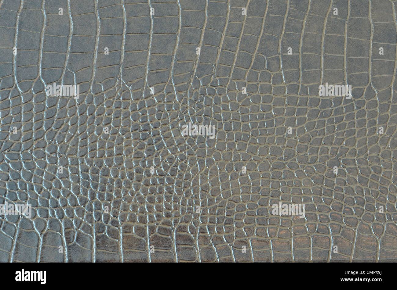 Motif peau de crocodile Alligator , seamless texture Banque D'Images