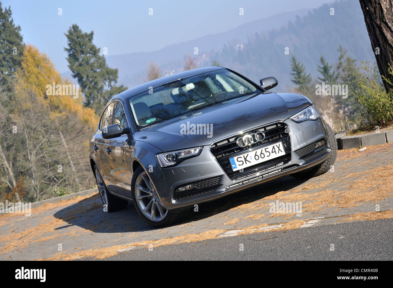 Audi A5 Sportback - MA 2007 (FL 2012) - L'Allemand premium limousine classe moyenne supérieure (segment D) Banque D'Images