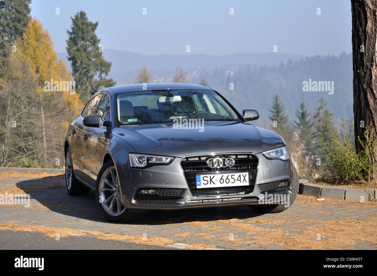 Audi A5 Sportback - MA 2007 (FL 2012) - L'Allemand premium limousine classe moyenne supérieure (segment D) Banque D'Images