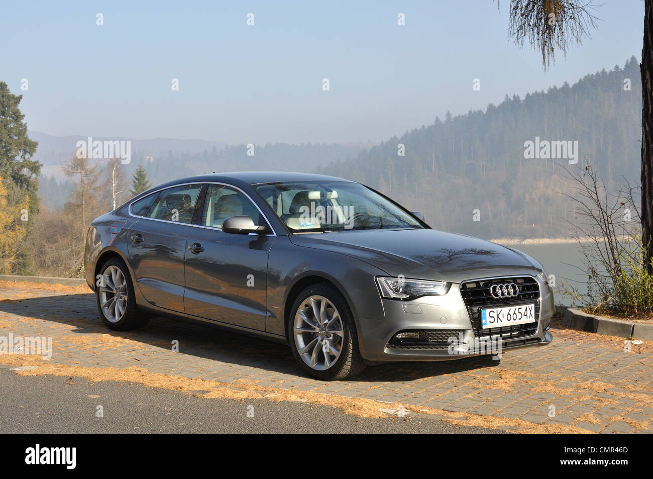 Audi A5 Sportback - MA 2007 (FL 2012) - L'Allemand premium limousine classe moyenne supérieure (segment D) Banque D'Images