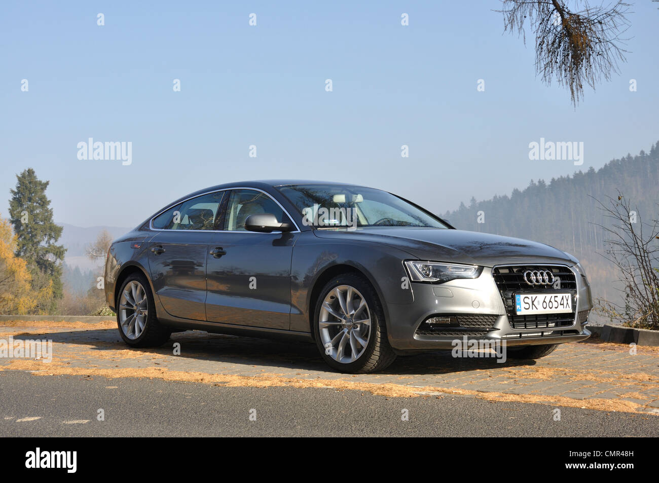 Audi A5 Sportback - MA 2007 (FL 2012) - L'Allemand premium limousine classe moyenne supérieure (segment D) Banque D'Images